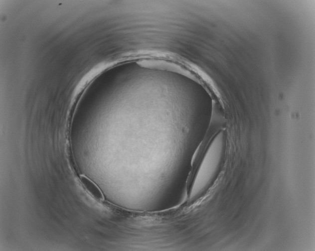 X0000083611373200702260917