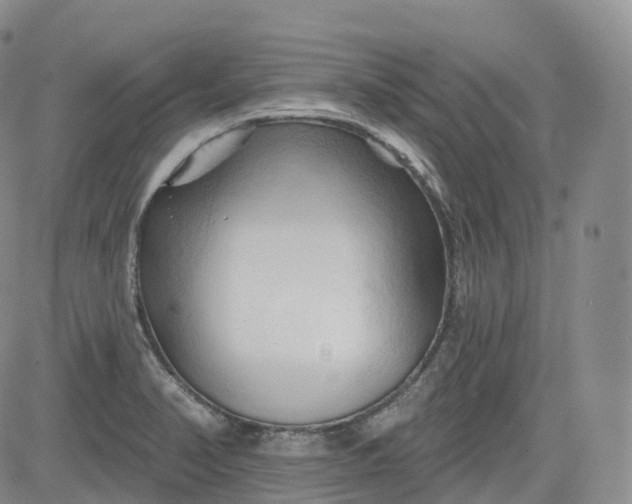 X0000083611374200702260917