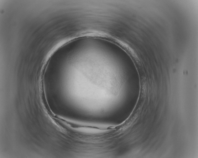 X0000083611375200702260917