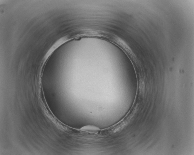 X0000083611378200702260917