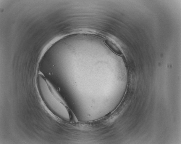 X0000083611379200702260917