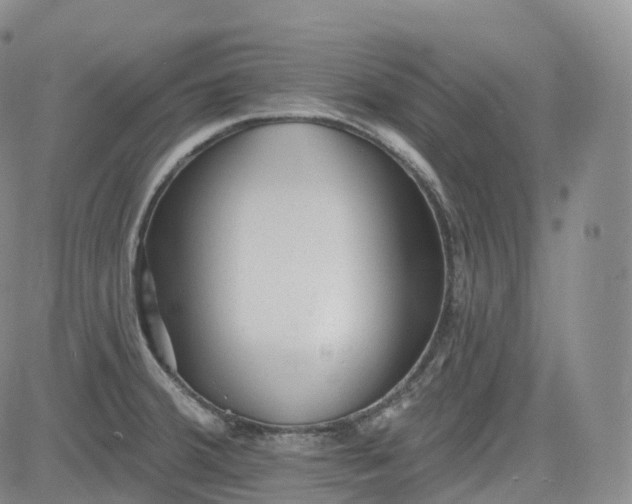 X0000083611380200702260917