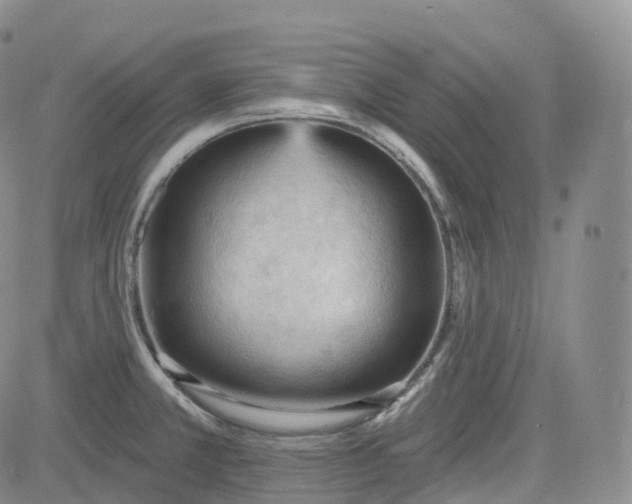 X0000083611381200702260917