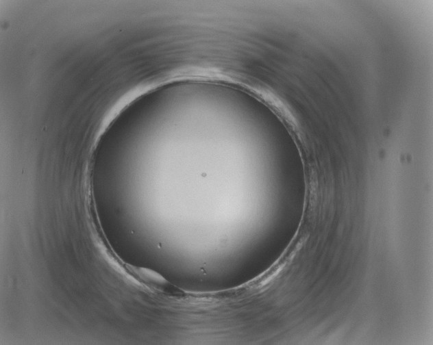 X0000083611382200702260917