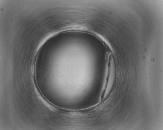 X0000083611383200702260917