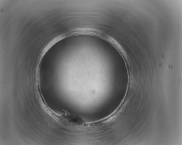 X0000083611386200702260917