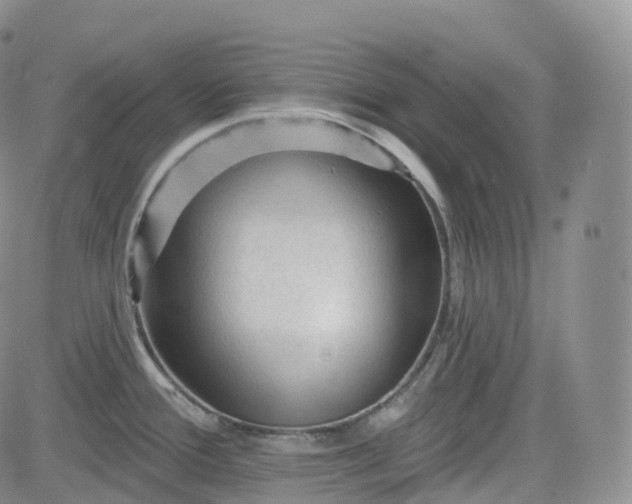 X0000083611388200702260917