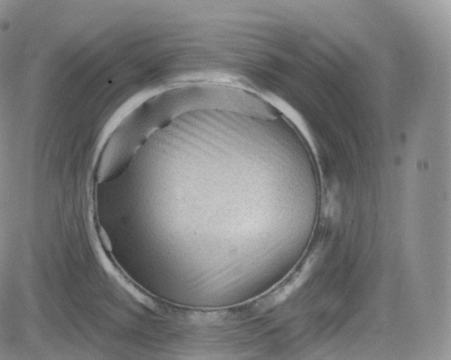 X0000083611389200702260917