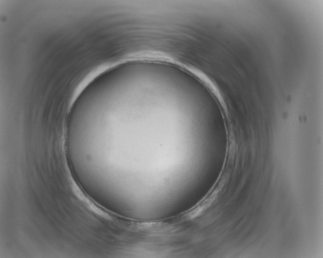 X0000083611390200702260917