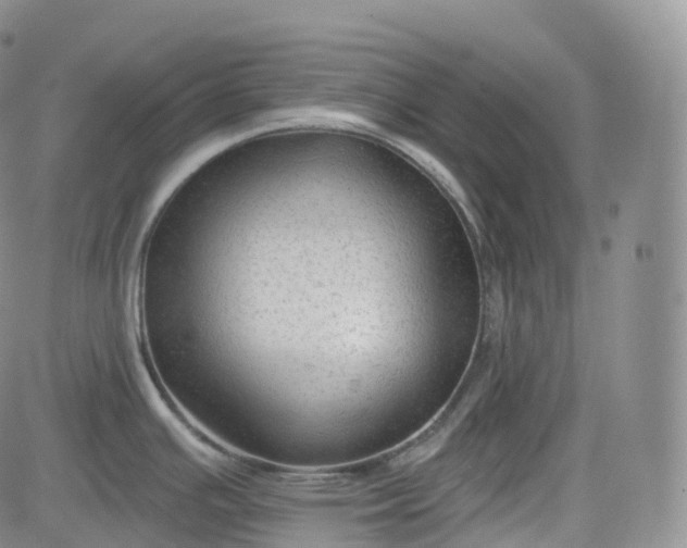 X0000083611391200702260917