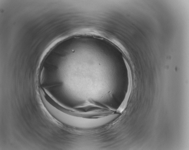 X0000083611392200702260917