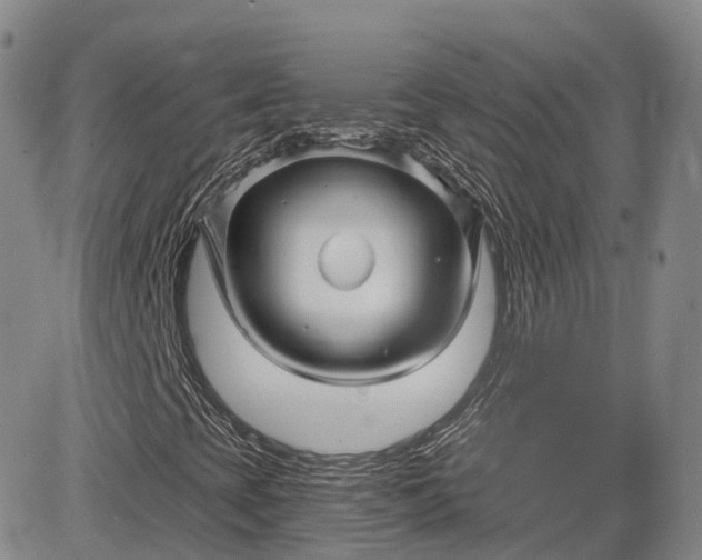 X0000083611393200702260916