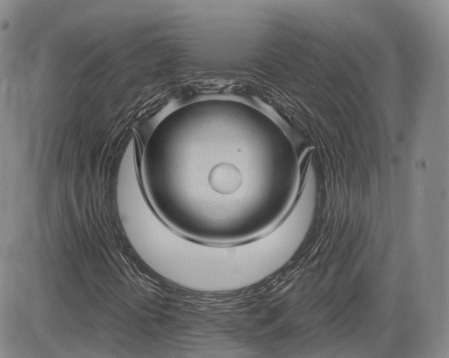 X0000083611394200702260916