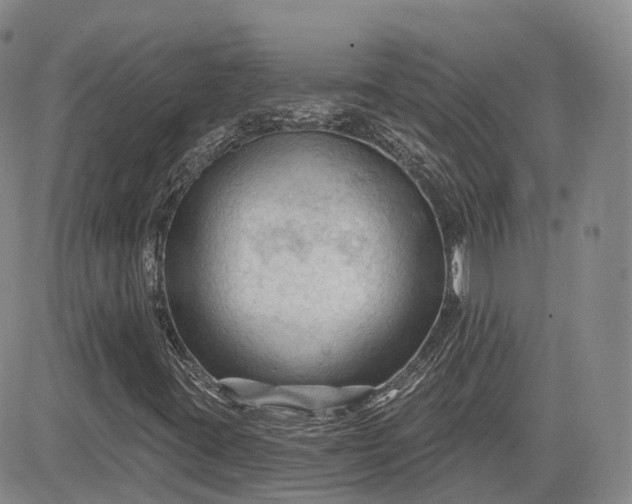 X0000083611395200702260916