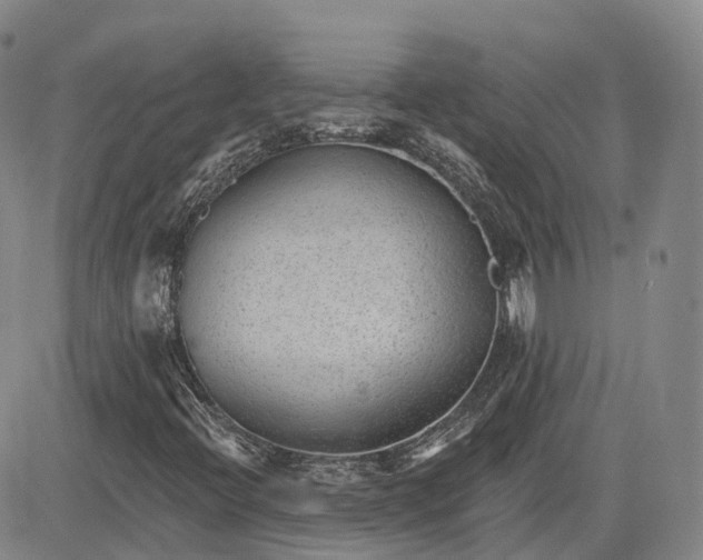 X0000083611396200702260916