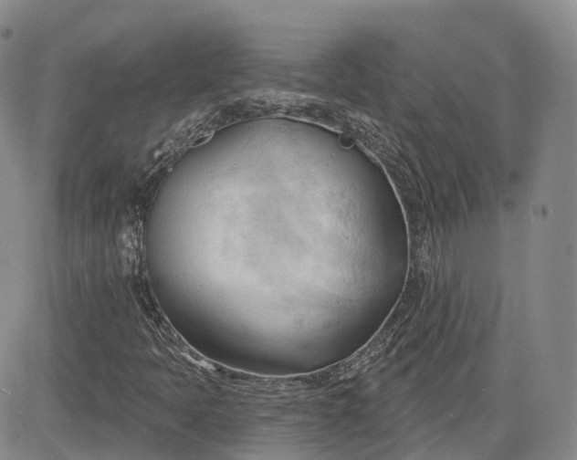 X0000083611397200702260916