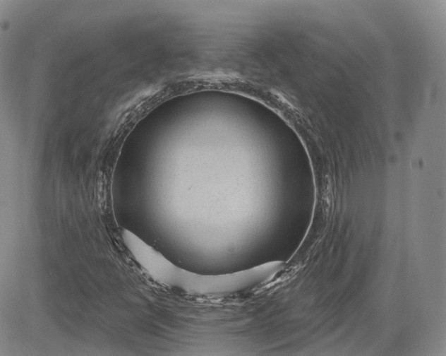 X0000083611398200702260916