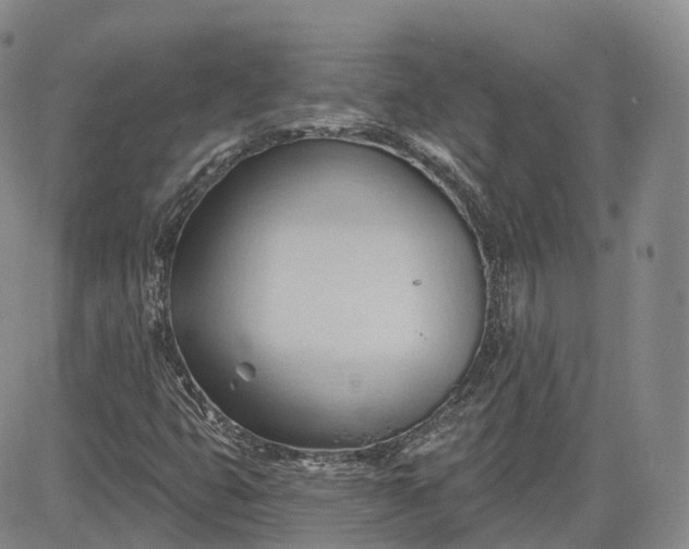 X0000083611399200702260916