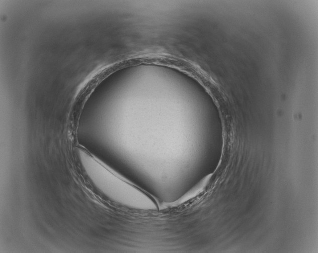 X0000083611400200702260916