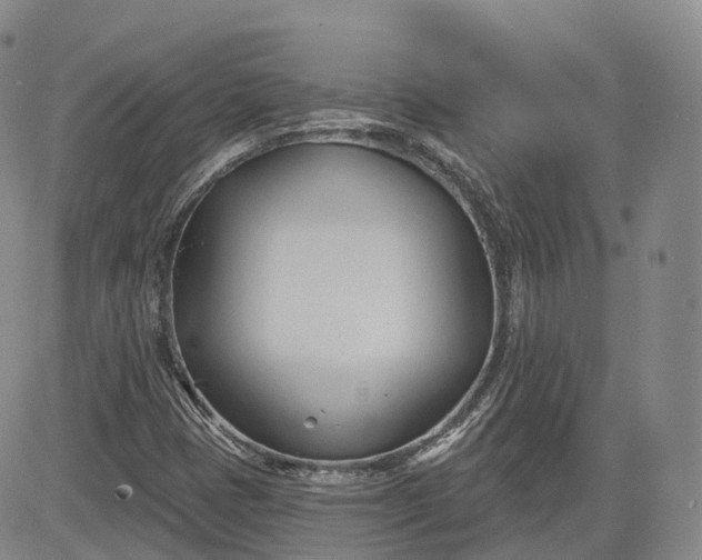 X0000083611401200702260916