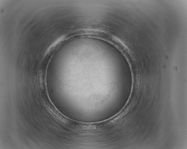 X0000083611403200702260916