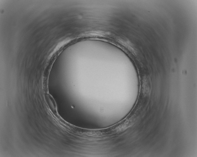 X0000083611404200702260916