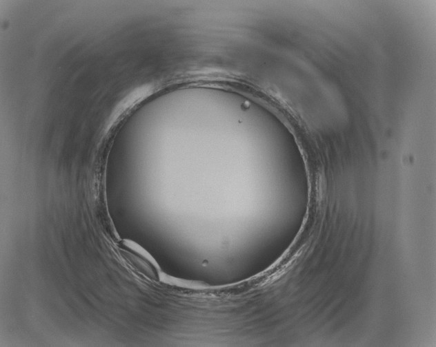 X0000083611405200702260916