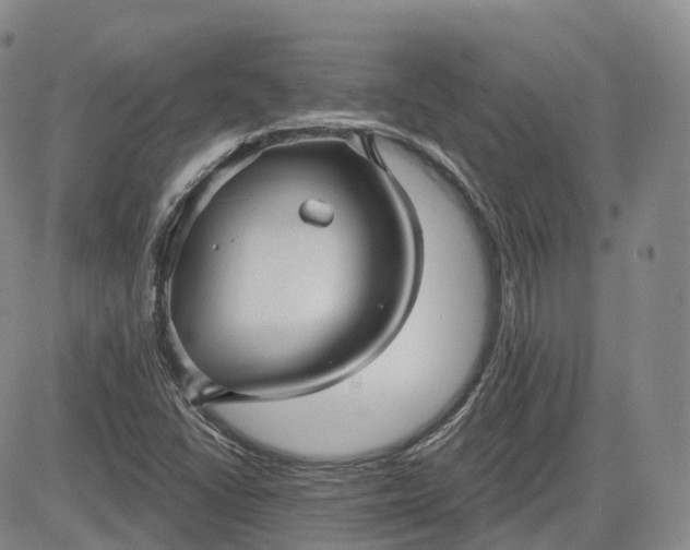 X0000083611406200702260916