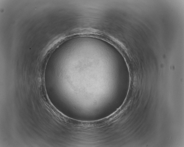 X0000083611407200702260916