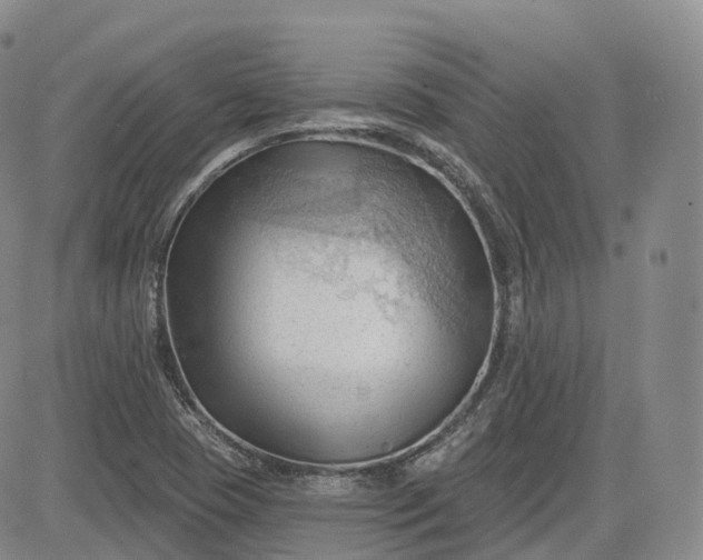 X0000083611409200702260916