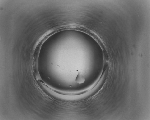 X0000083611410200702260916