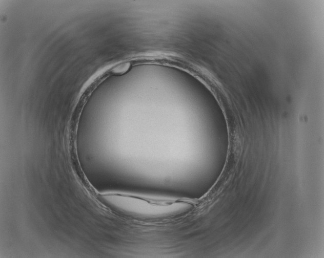 X0000083611412200702260916