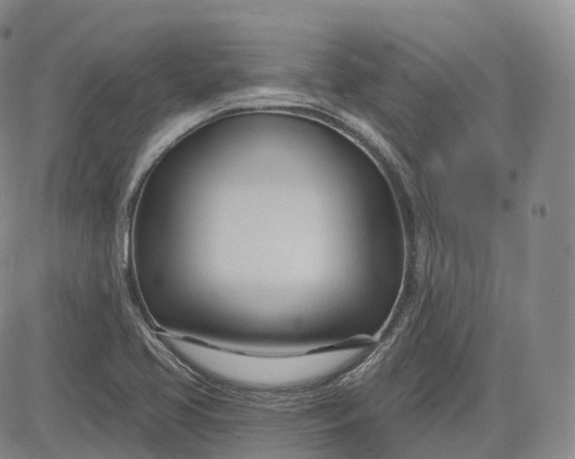 X0000083611413200702260916