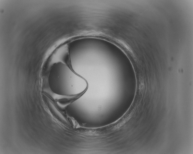 X0000083611414200702260916