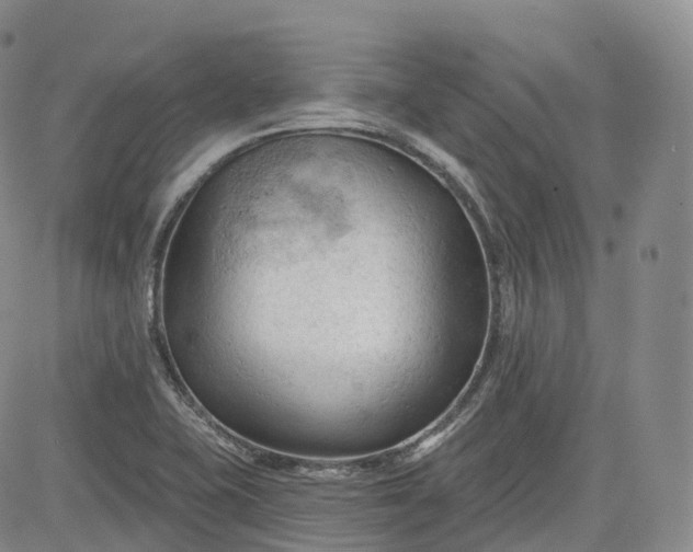 X0000083611415200702260916