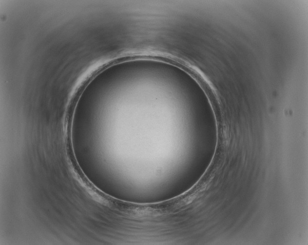 X0000083611416200702260916