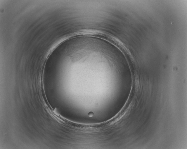 X0000083611417200702260916