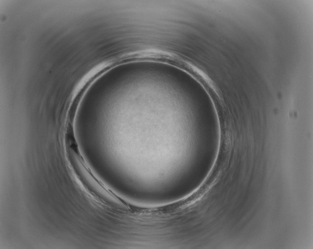 X0000083611418200702260916