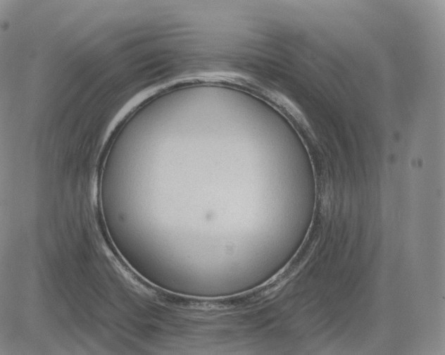 X0000083611420200702260916