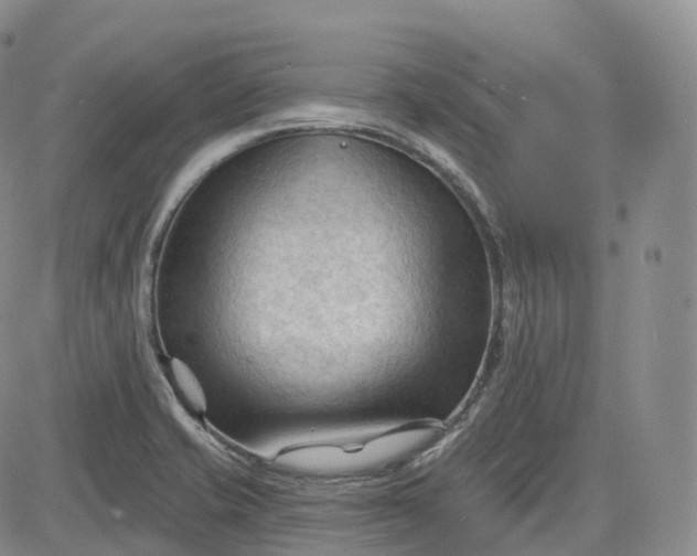 X0000083611421200702260916