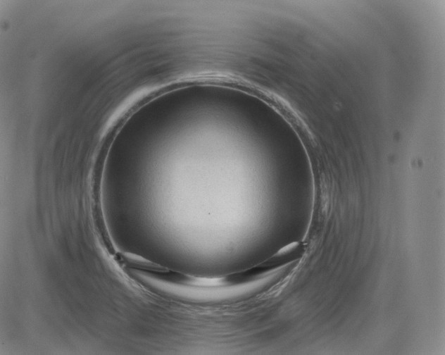 X0000083611422200702260916