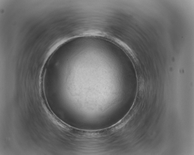 X0000083611423200702260916