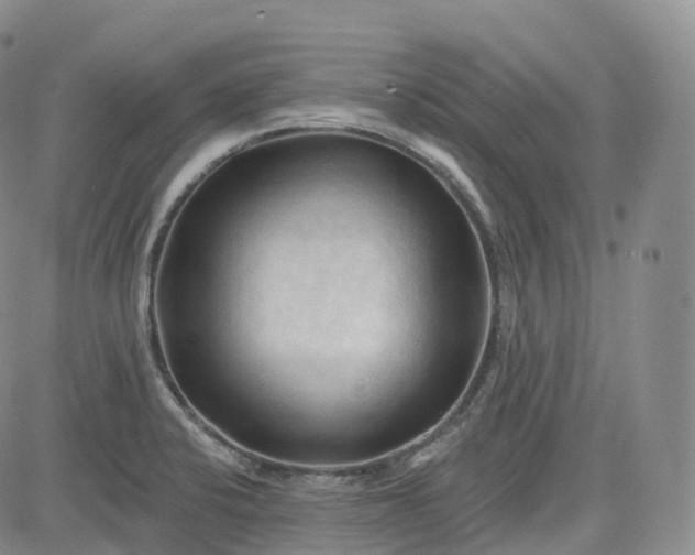 X0000083611424200702260916