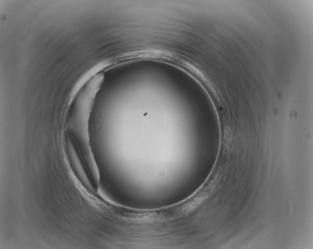 X0000083611426200702260916