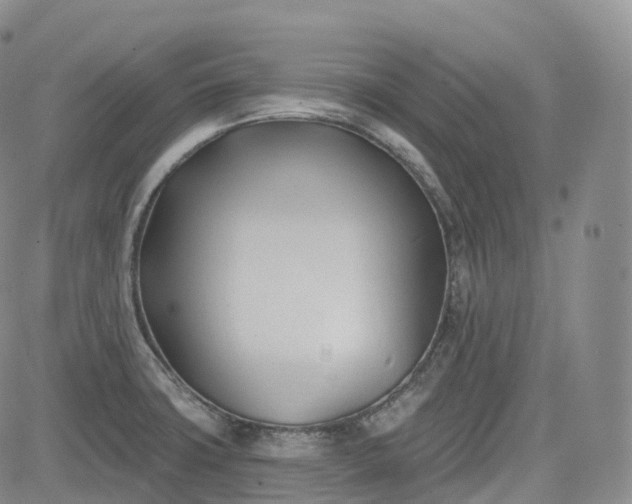 X0000083611427200702260916