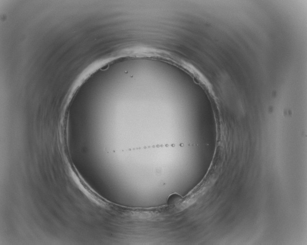 X0000083611429200702260916