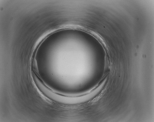 X0000083611430200702260916