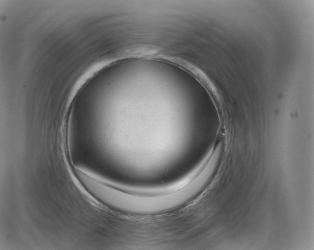 X0000083611432200702260916