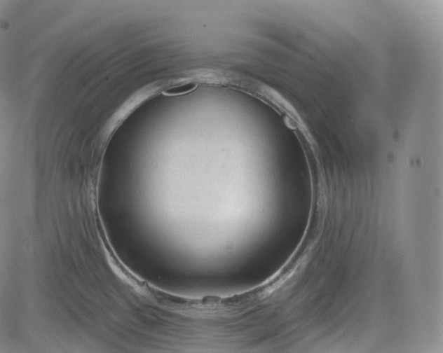 X0000083611433200702260916