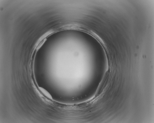 X0000083611434200702260916